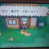 ポケモンオメガルビープレイ日記(御三家入手編)