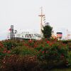 山下公園訪問他