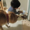 一息かな。