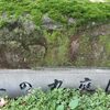 久屋大通公園の北から南まで歩く