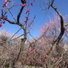 滑川の森林公園へいく（2月21日）