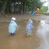 雨もいいものです