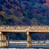 京都・嵐山 - 秋色の桂川渡る雲水