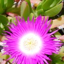 sotokatudousukiのブログ