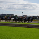 オレの競馬予想