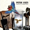  Peter Visti / Illusions In A Twisted Mind