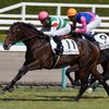 競馬初心者必見☆馬券予想🔥〜スワンステークス〜