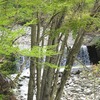 奥多摩湖_都立奥多摩湖畔公園（東京都西多摩郡）