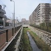 仙川_桜二の橋～めがね橋～桜一の橋（東京都武蔵野市）