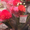 2025年(令和7年)9月18日(木曜日)生花を墓に届ける～♪♪