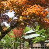 青葉山松尾寺　