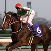 競馬初心者必見☆馬券予想🔥〜有馬記念〜ビシッと当ててハッピーニューイヤーといきたいところです♫〜