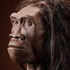 チェコ　最初の人類がヨーロッパに来たのは140万年前でした