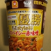 マルちゃん　創作ラーメン　style林　スパイシー赤味噌