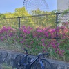 自転車さんぽ④ あめとご。