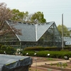 東京都薬用植物園(東京都）