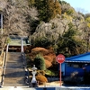 八坂神社の枝垂れ桜・・