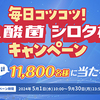 ヤクルト｜毎日コツコツ！乳酸菌シロタ株キャンペーン