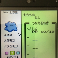 色違いポケモン紹介 Vc産イーブイ 自由に生きてあそblog