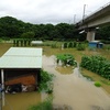 畑の冠水