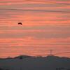 １８日の夕景－たなびく茜雲