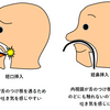 ★「お昼まで」★