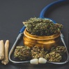 CBD vs. THC: Differences, benefits, and effects