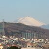 高崎公園周辺散歩　浅間山・梅一輪・オカメザクラの蕾