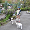昨日と今日