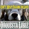 Orquesta Libre