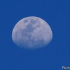 ベリーズ　青空に浮かぶ月