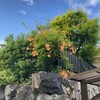 復活の主との関わりに生きる（2）　私の内に住むキリスト