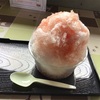 どうしても天然氷のかき氷が食べたくて右往左往した結果