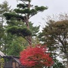 テニスサークル合宿2日目