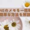 iPhoneのメモを一括転送！簡単な方法を解説