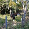 息子と動物園へ