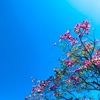 ４月１７日