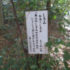 万葉集の世界に飛び込もう（その３２１１）―万葉一日一葉　国分寺万葉庭園（７９）―しきみ