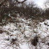 ハレルヤ千石城山