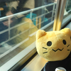 にゃんぷっぷー写真集