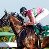競馬初心者必見☆馬券予想🔥〜カペラS〜3歳馬が新時代を切り開く！