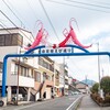 久しぶりに由比に行ってきました