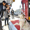 「ときどき駅長」のゴールデンレトリバー