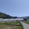 温泉惑星天鈴