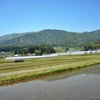 農業研修園芸センタービニールハウス群