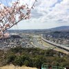 そろそろ近場の花見場所が