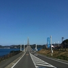 やしんこ君が調子乗ってますｗ鷹島は船唐津港に、突撃。エギングレポート届きましたよ！
