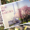 Sakura in Paris