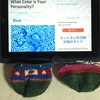 ７日め　Continue sock B by knitting seven rounds. The color is determined by your test result.