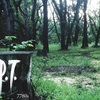 P.T.という物凄く怖いゲームの話